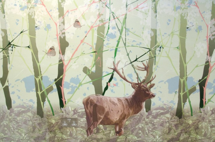 Juri_Nishi-forest_web